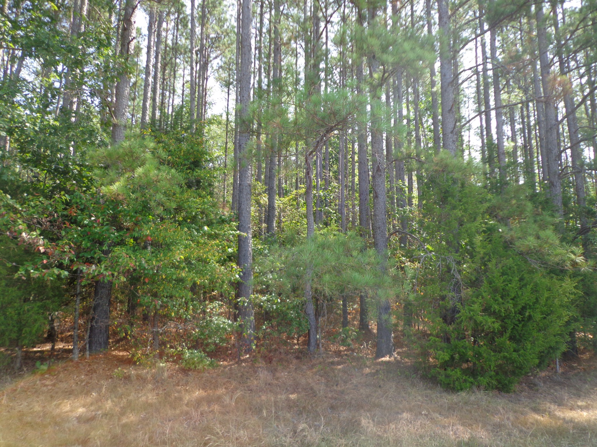 0 Tennessee Ridge Road
