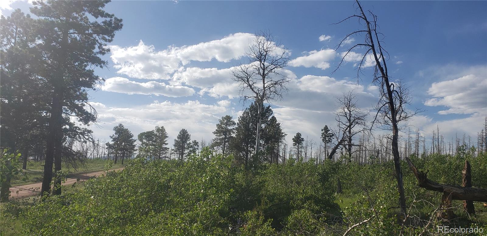 Lot 1406 Emery Loop