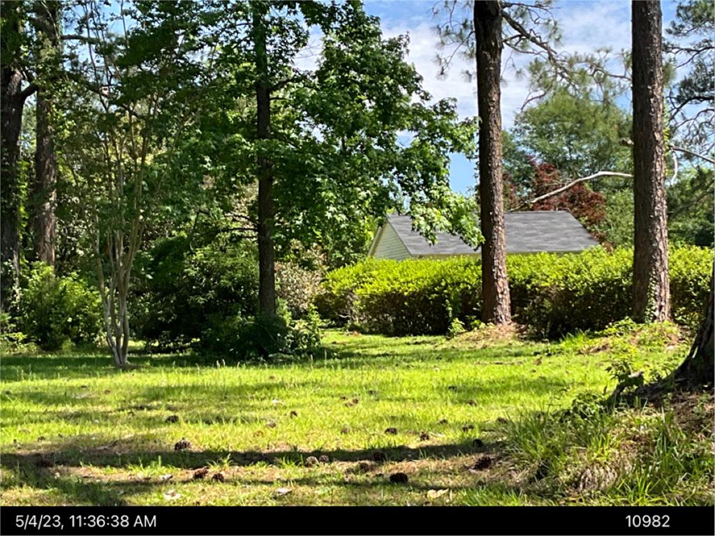 Wooded residential building lot in the city limits of Cairo, GA.