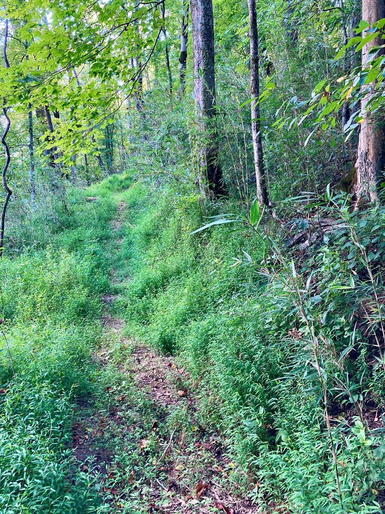 392 Possum Hollow Rd