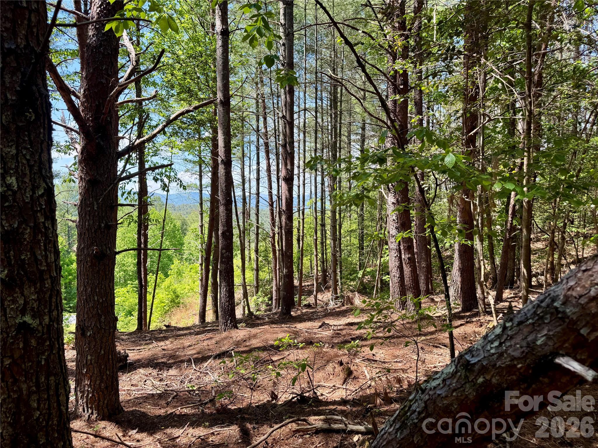 Lot 104 Johns Ridge Parkway 104