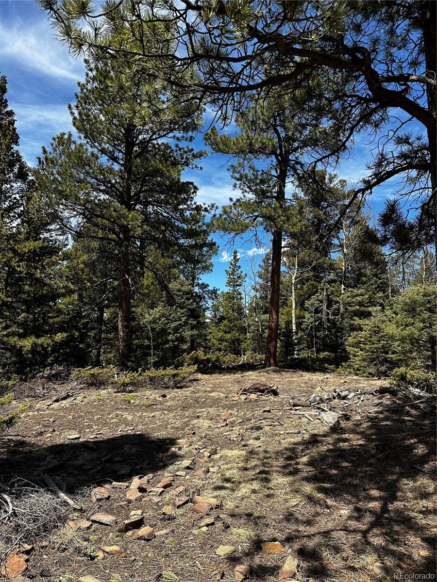 Lot 174 Ferris Place