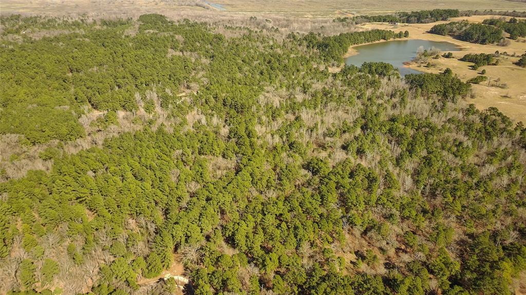 Discover the perfect canvas for your dreams with this stunning 19-acre property, offering a serene and heavily wooded landscape. With abundant road frontage and easy access to utilities for power and water, this property provides endless possibilities. Whether you're seeking a private retreat, a hunting haven, or a potential development opportunity, this land is ready to bring your vision to life. Don't miss the change to own this unique piece of nature!