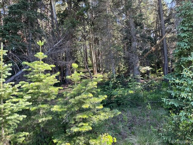 Lot 2893 Coder Place