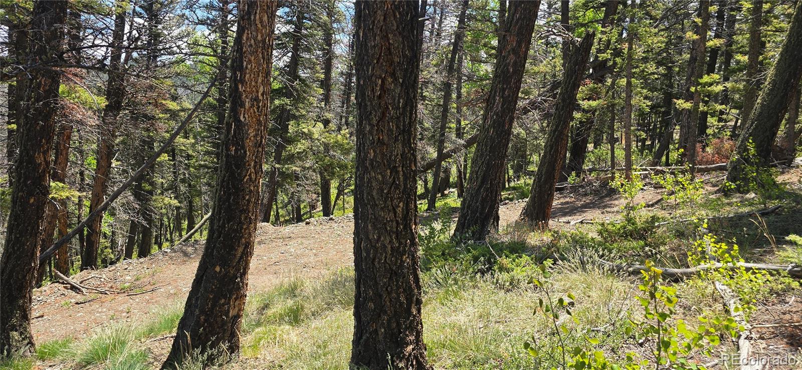 Lot 5546 Balleroy Road