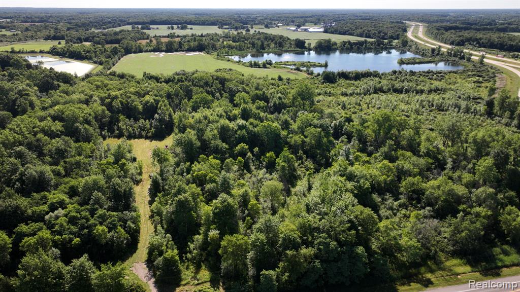 Two adjoining parcels ( 74290011001000 and 74290011002100) that total 105+/- acres bordering an I69 off-ramp. Frontage on M-19 and I-69 gives incredible accessibility and visibility to this versatile piece of land. You will capture a vast audience of local commuters as well as highway traffic with this location right off of I-69. With close proximity to Port Huron and the Canadian border, this land is teeming with opportunity. Boasting a mixture of woods, tillable acres, and a lake, this land is full of potential for development or personal use. The tillable acres are subject to current farmer's rights to continued farming and harvest rights during this lease term. There is commercial zoning in the front portion of the parcel that borders  M-19. Be sure to watch the video tour of this expansive property!