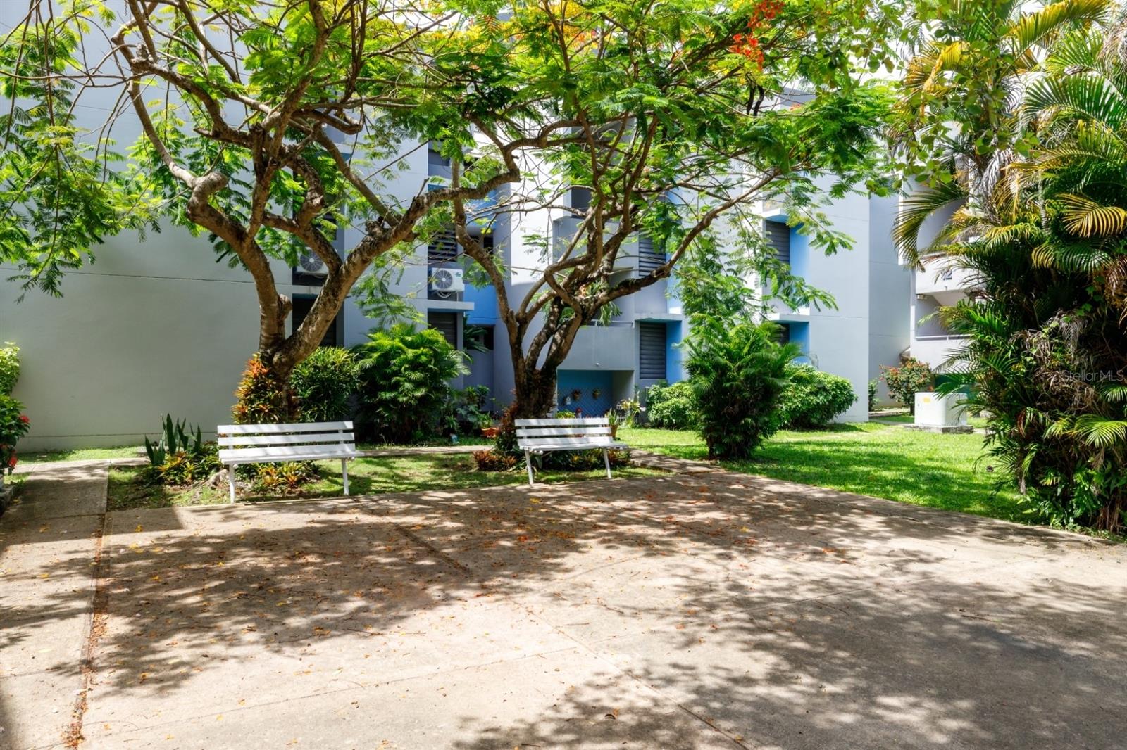 161 Ave Cesar Gonzalez 11B