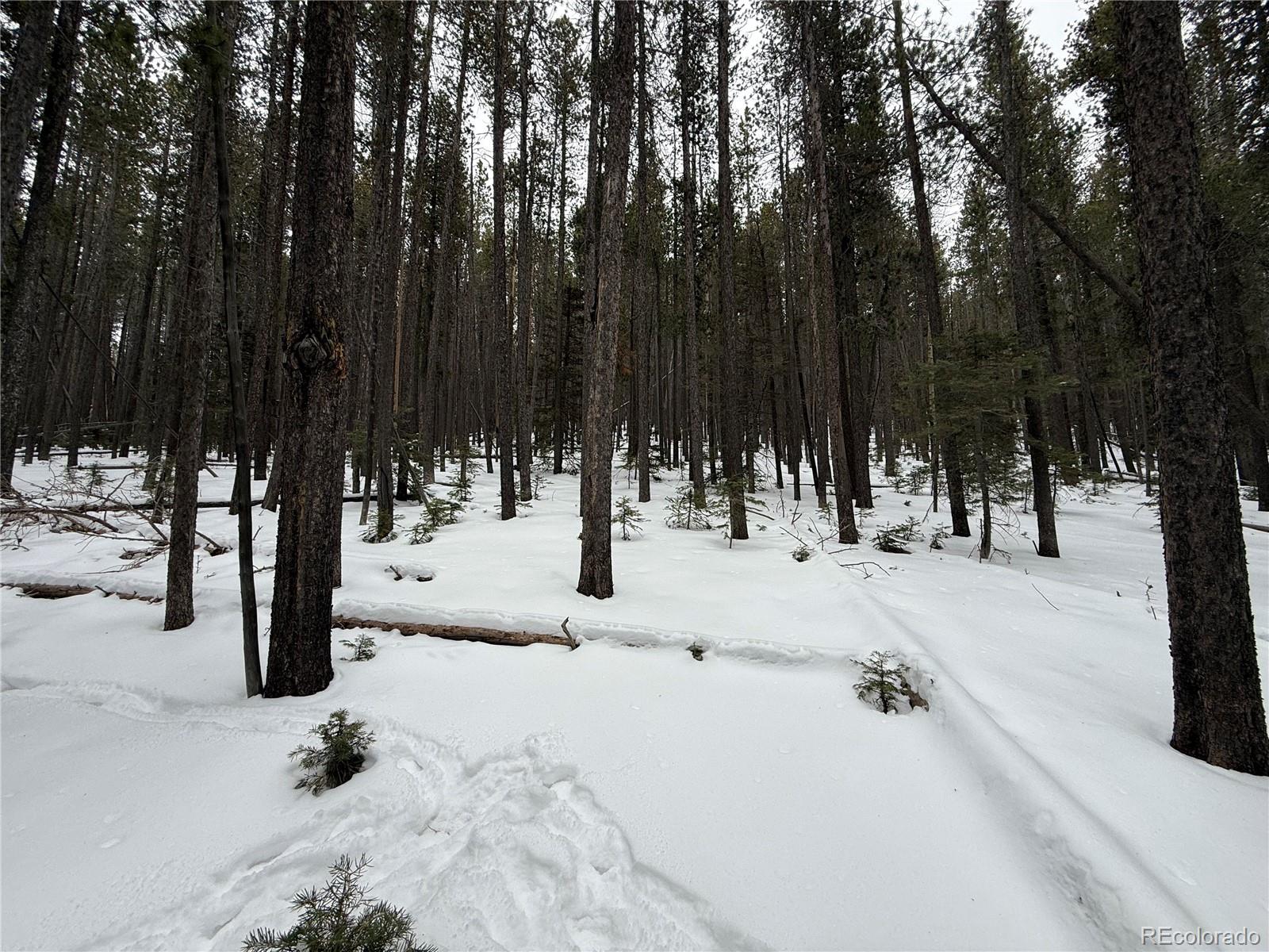 Lot 2805 Moir Drive