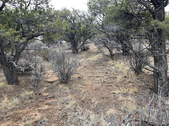 Lot 2087 Sandoval Road