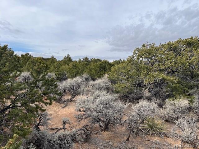 Lot 1865 Wilkings Road