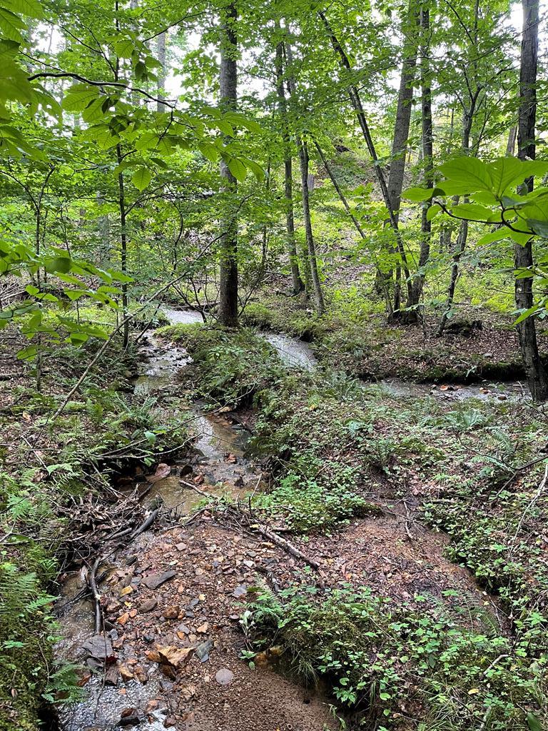 Land for sale in Woodlawn, Virginia, 82838