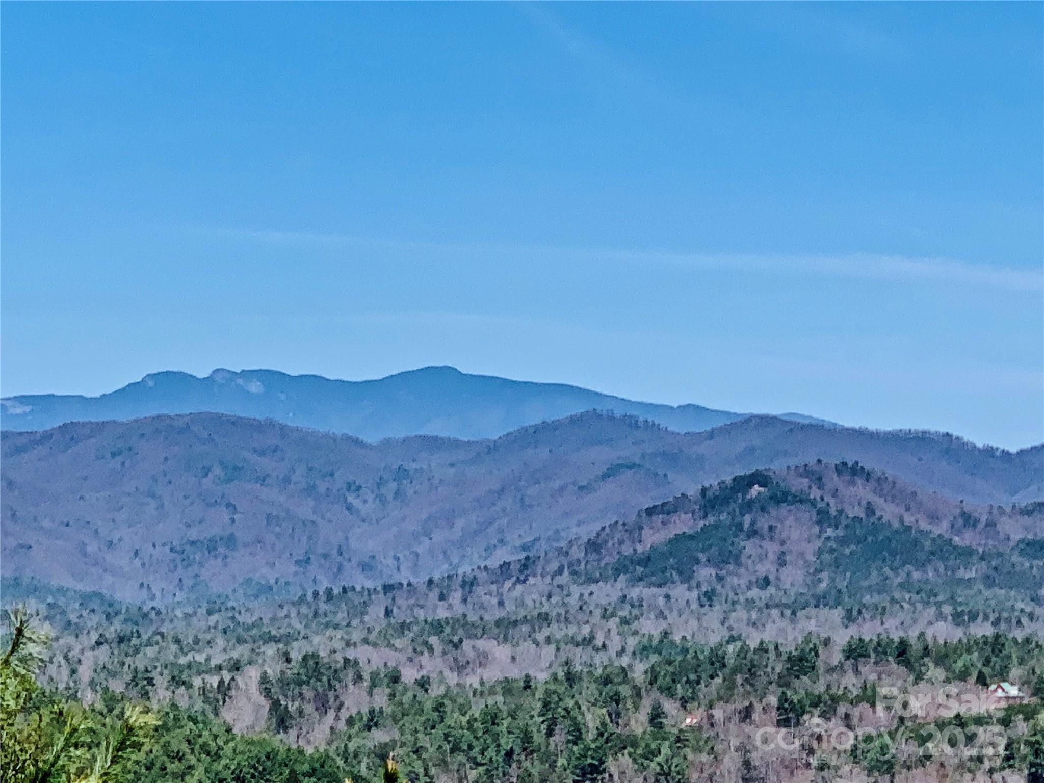 1879 Johns Ridge Parkway Lot 163