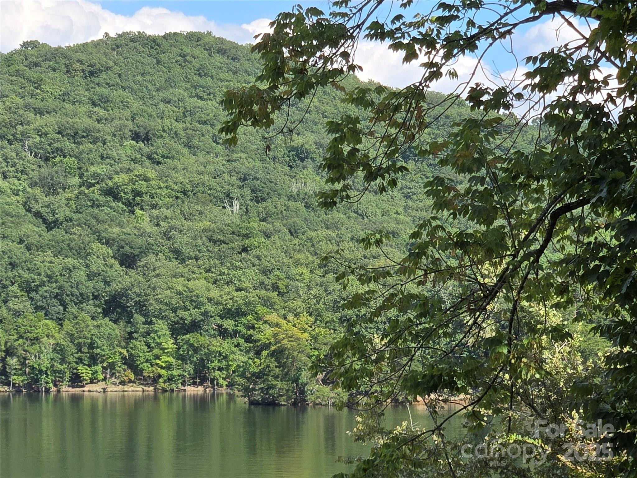 This vacant waterfront lot is located in the Dixie Shores community of Badin Lake. Lot 107: .22 acres.  53 feet of road frontage. Long range views. Overlooking the Uwharrie National Forest. County water & sewer available (no perc test needed). Come build your dream home or weekend get away on this prime lakefront property. Dixie Shores community: no HOA dues. The private Dixie Shores boat landing is within the neighborhood. The paved, public Whip O Will Wildlife boat landing is 5 minutes away. Badin Lake offers marinas that provide dining, gas, and watercraft rental. The Uwharrie National Forest 5 minutes away is a great destination for camping, hiking, horseback riding, and ATV/OHV trails. Within one hour from Charlotte, Greensboro, Winston-Salem, and Pinehurst. Call Listing Office for more information, or to schedule a showing.