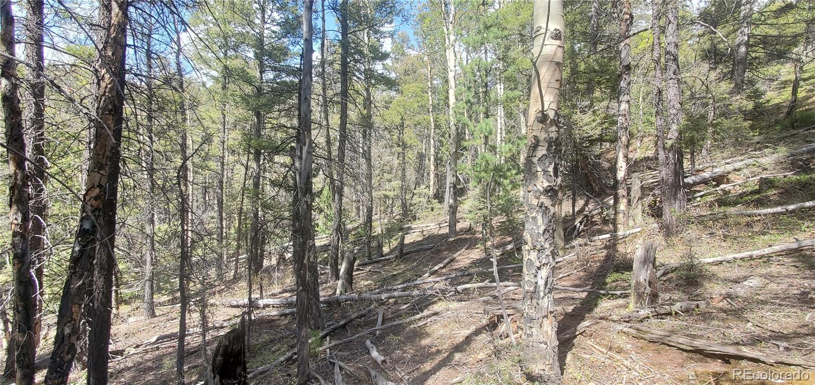 Lot 5610 Dawson Road