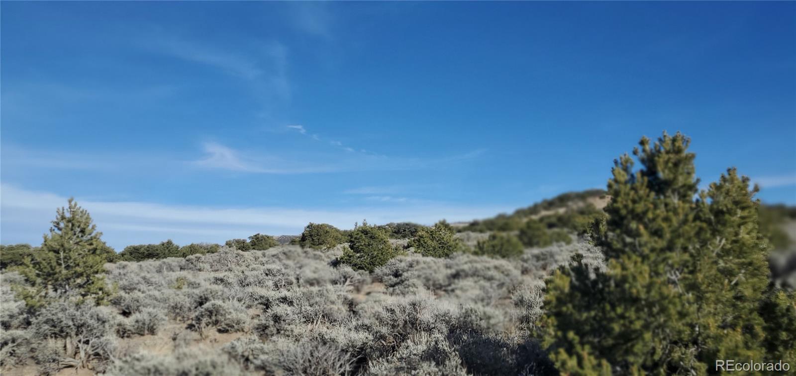 Lot 1099 Cacky Road