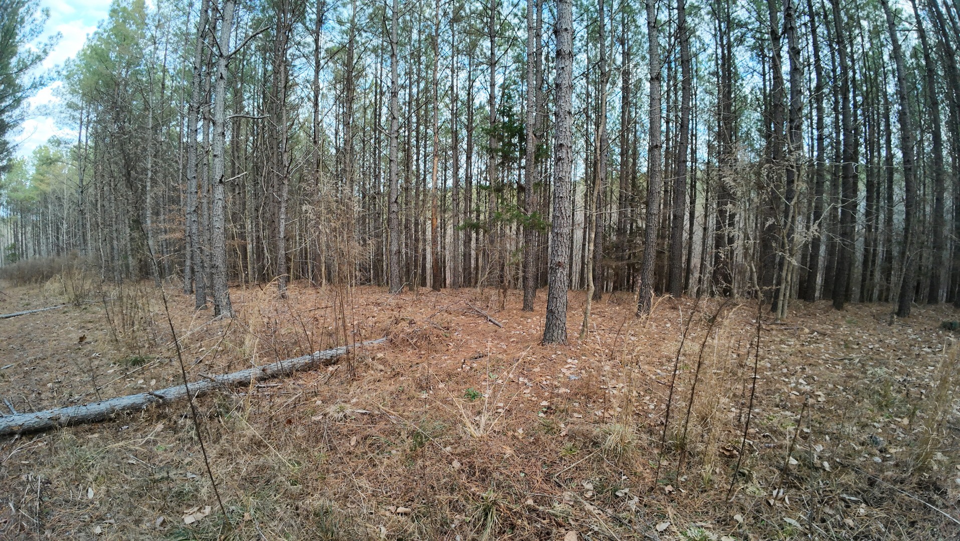 240 Brookstone Dr