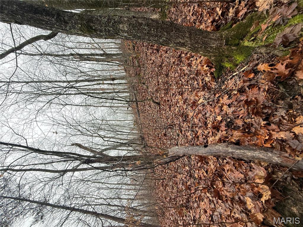 0 Peninsula Trail