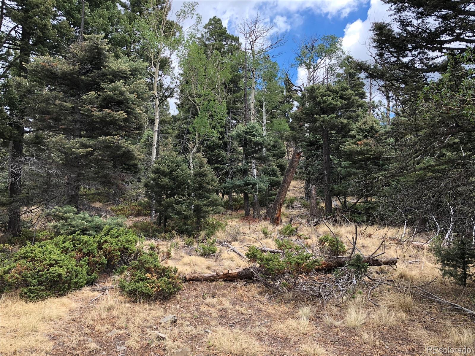 Lot 174 Ferris Place