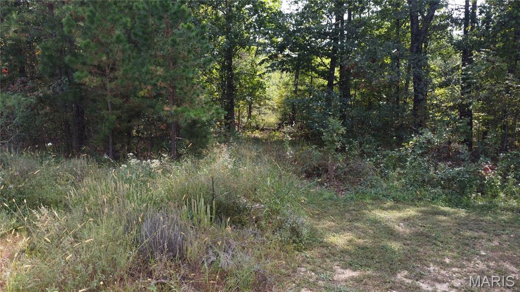 10255 Squaw Creek Rd