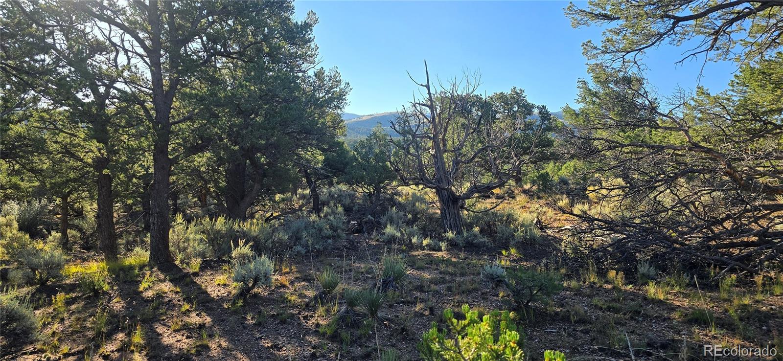Lot 7381 Platten Road