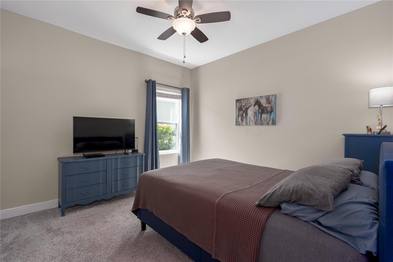 10914 Blue Magnolia Lane