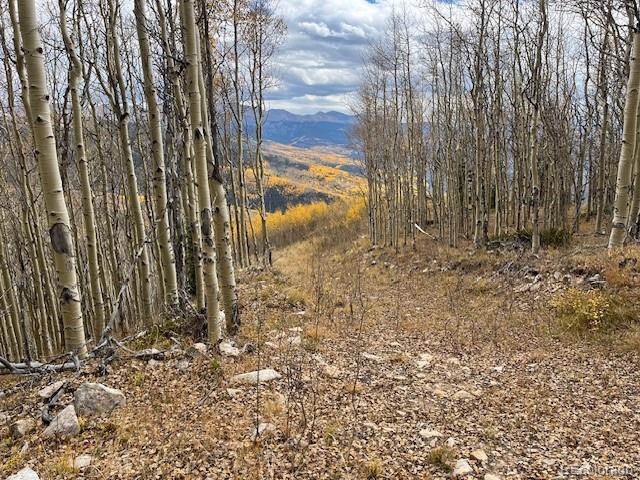 Lot 6557 Schlueter Road