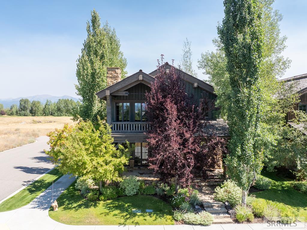 565 Woodland Star