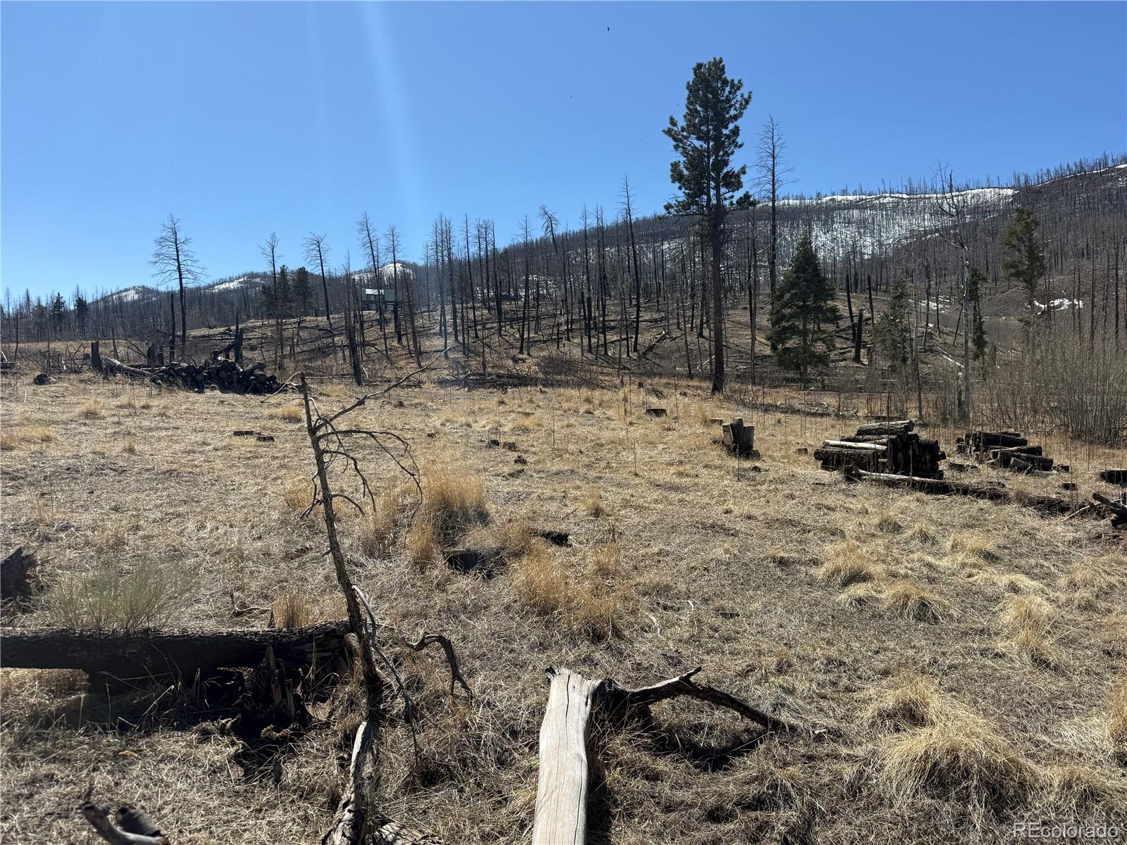 Lot 999 Foy Place