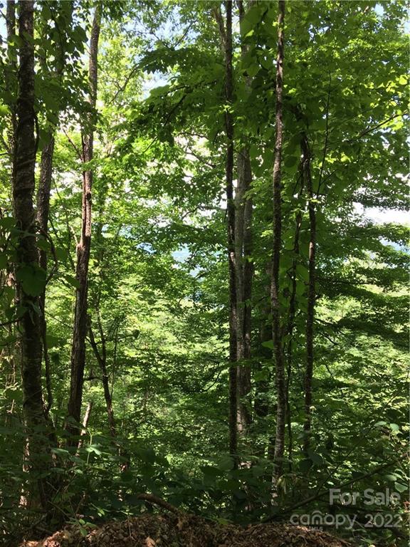 TBD Mcguires Ridge 321-322