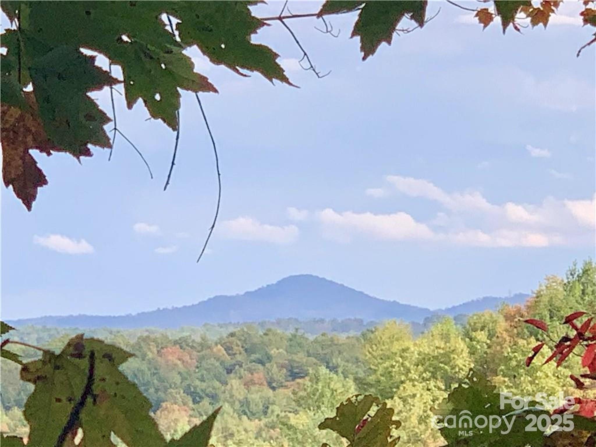 Lot 44 Round Mountain Parkway Lot 44