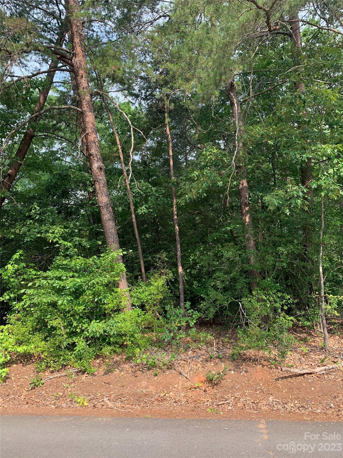 231 Overlook Drive