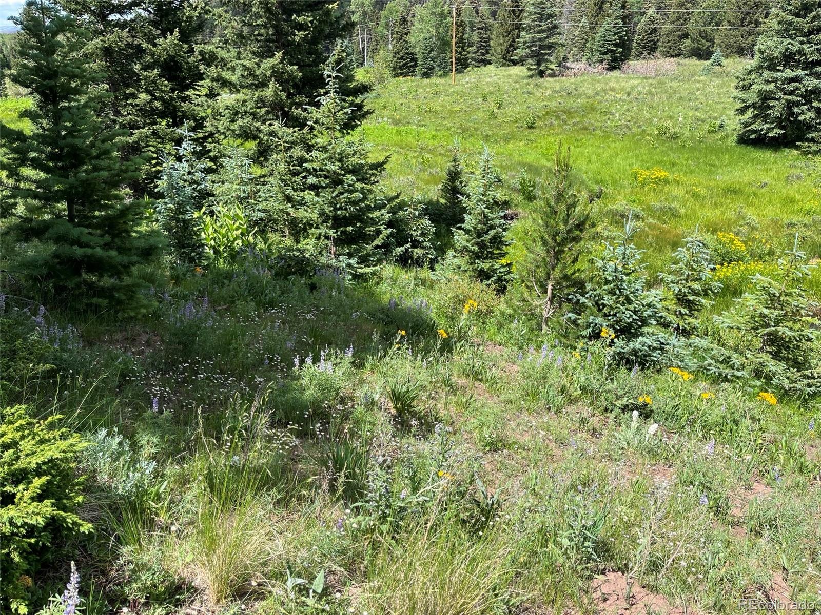 Lot 3091 Sterenson Place