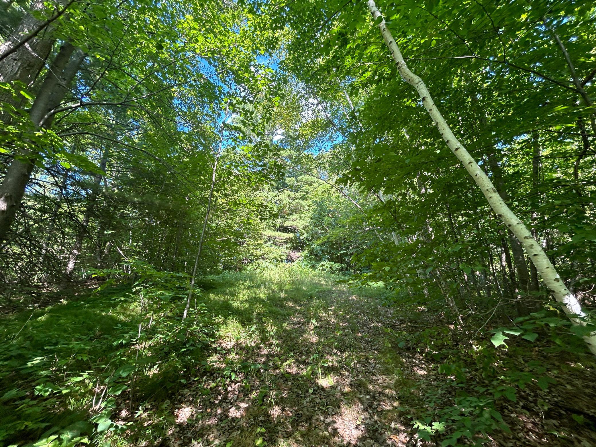 10XXX Maple Ridge Road