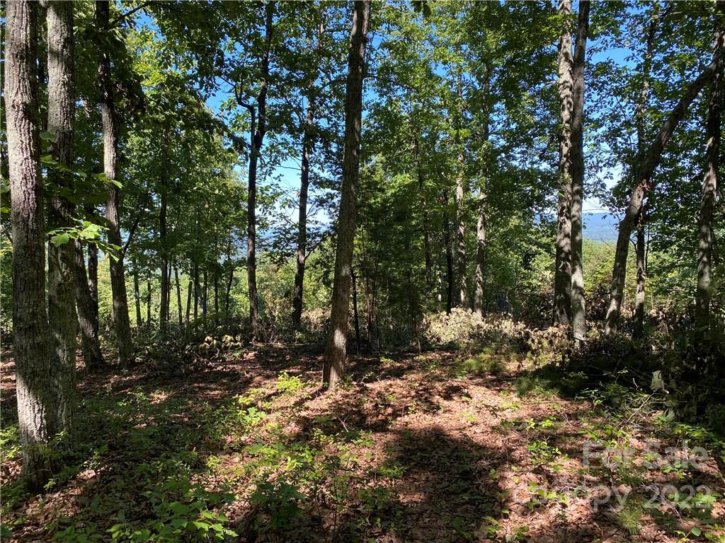 362 Mossy Oak Trail 128