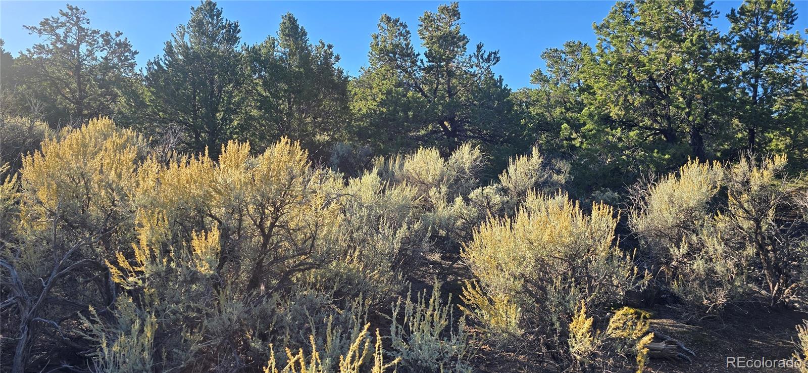 Lot 1361 Dunn Road