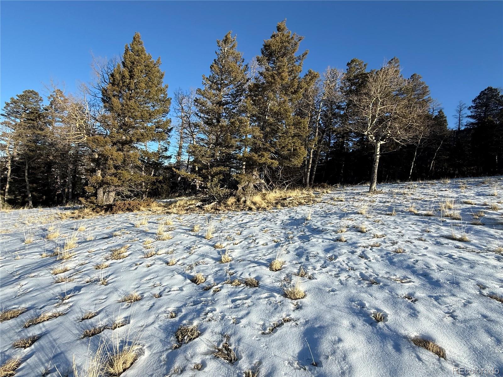 Lot 499 Collinson Drive