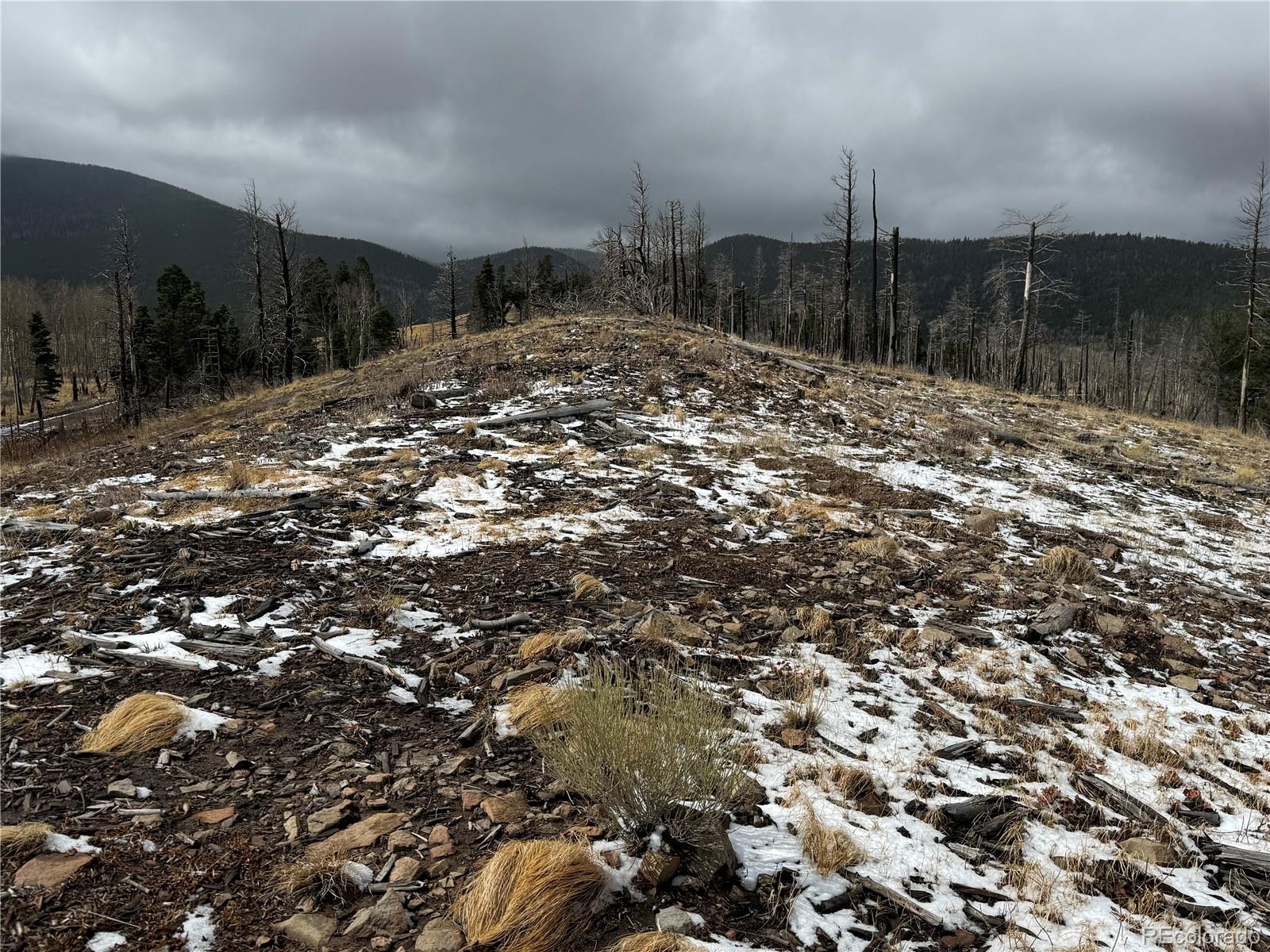 Lot 2415 Petito Drive