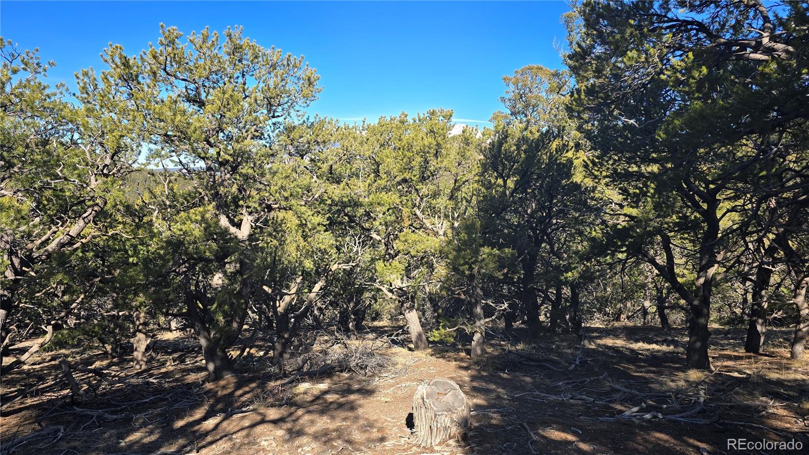 Lot 4510 Iannelli Road