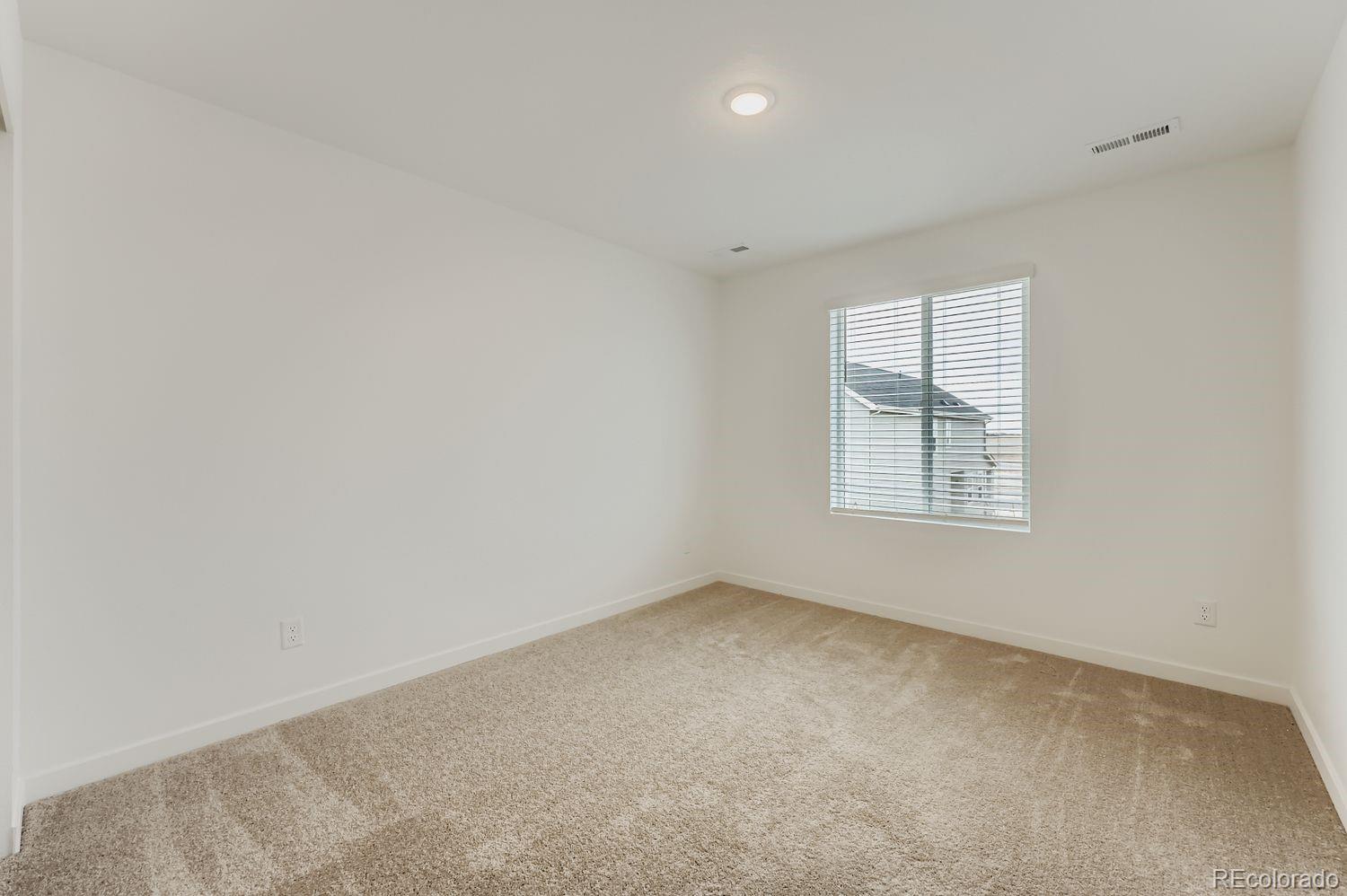 7813 Long Chute Trail