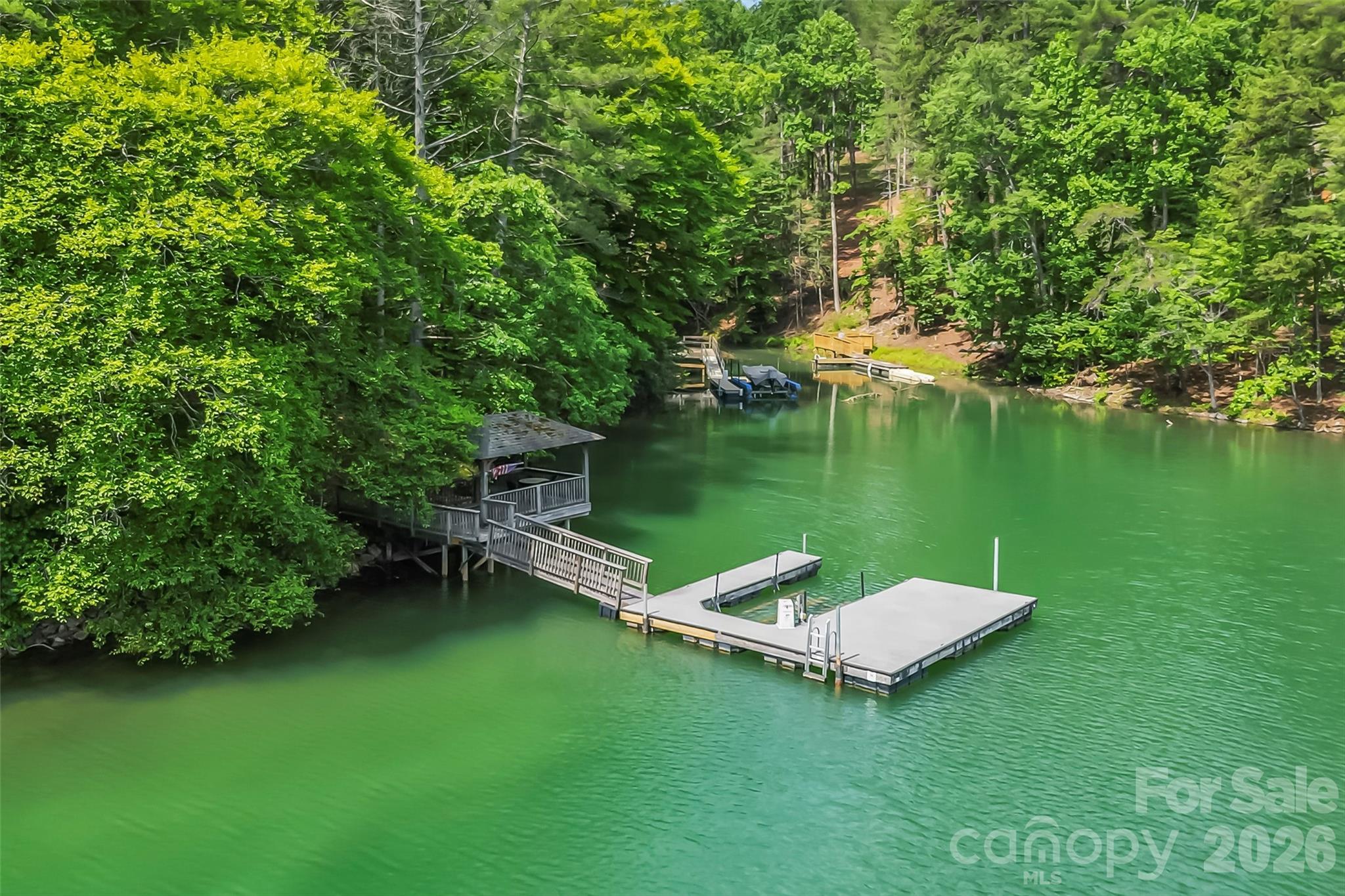 1513 Braxton Gate Drive 216