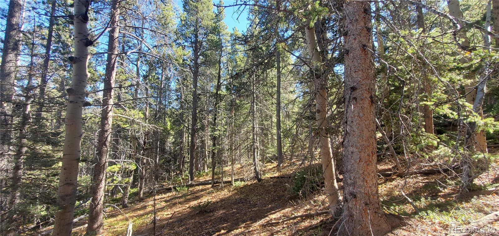 Lot 3023 & 3024 Bolwell Lane