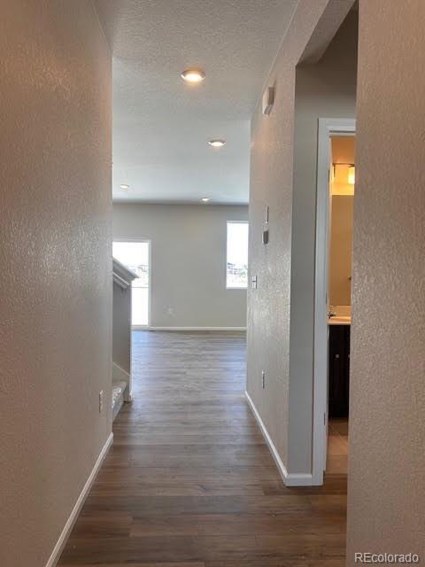 393 Grey Rock Street