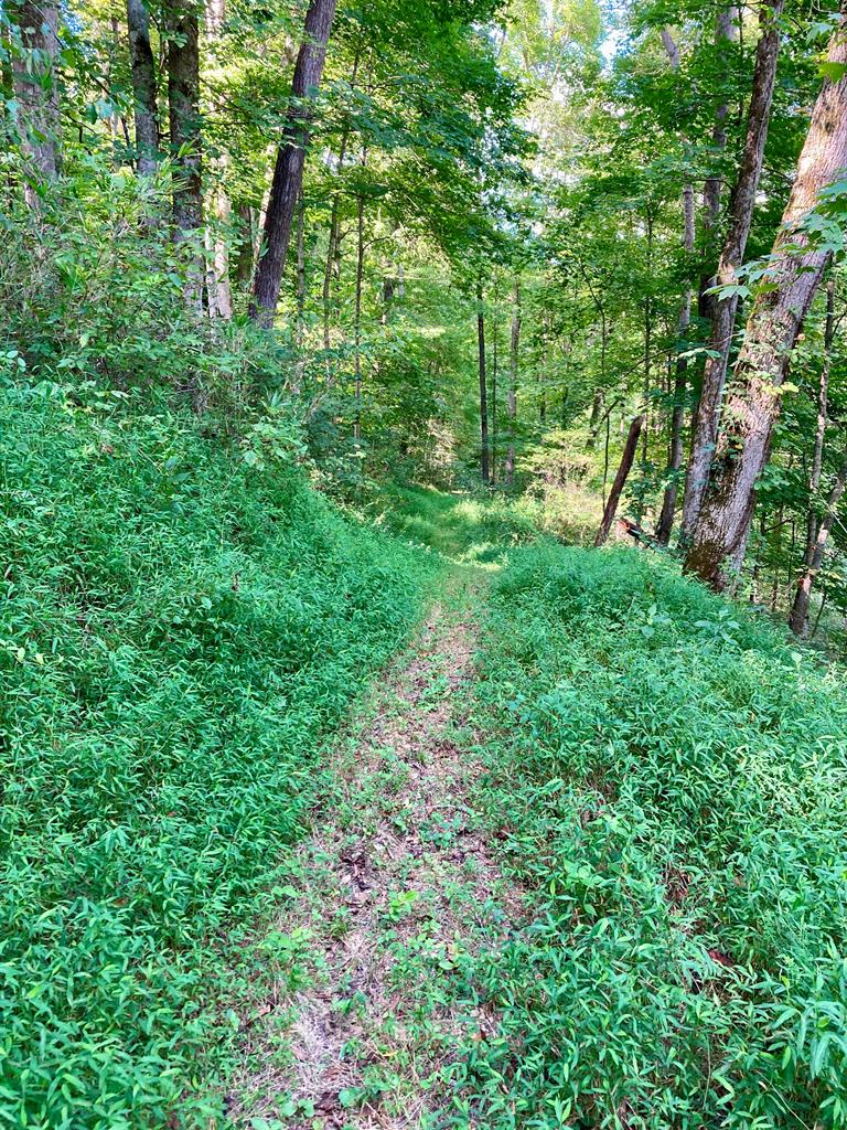 392 Possum Hollow Rd