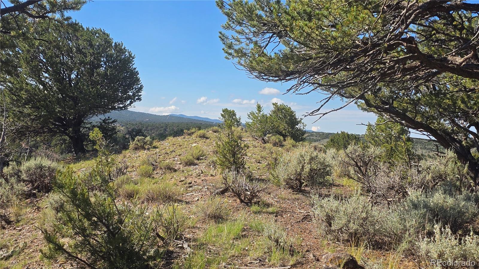 Lot 4296 Renfield Road