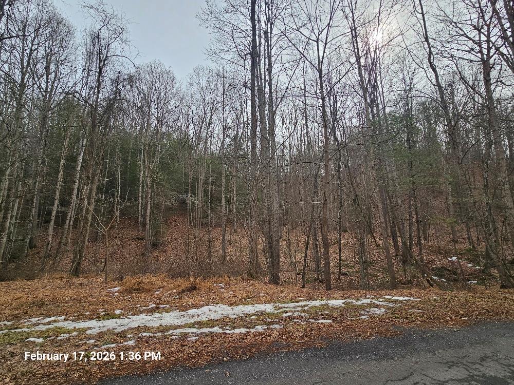 This beautiful piece of property features 53.15 acres of wooded area with several possibilities for usage.  Located within minutes to Hungry Mother State Park.  Ideal hunting property or building spots. Paved street with public water at the road.