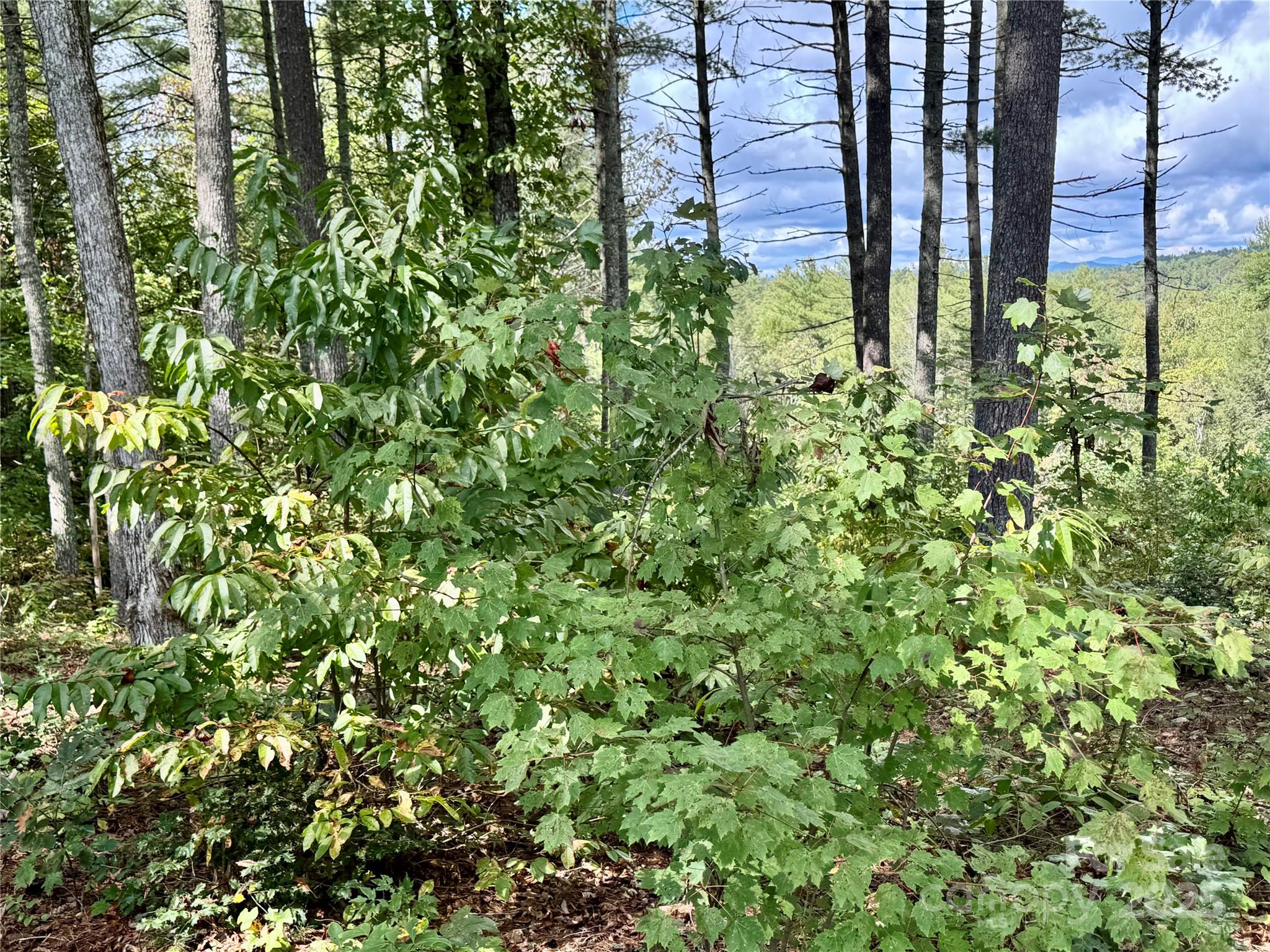 2088 Thoroughbred Way Lot G25