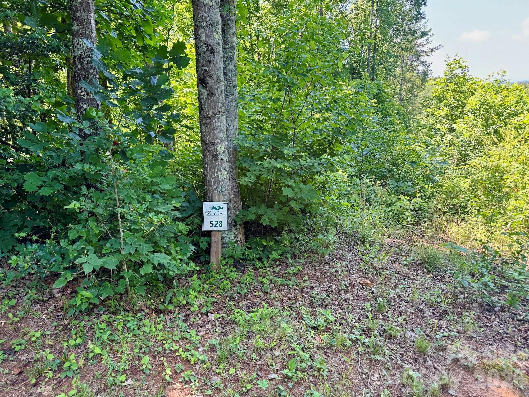 10 acres, Lot 528, Scenic Vista Trail 528