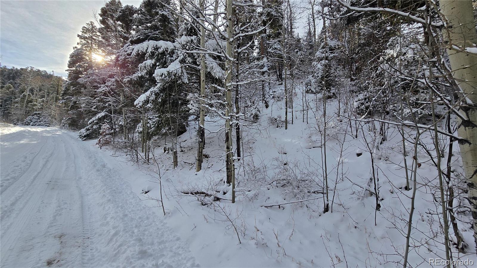 Lot 5540 Joy Road