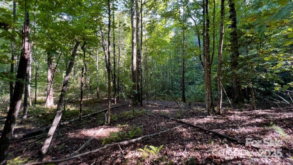 TBD Quiet Creek Lane