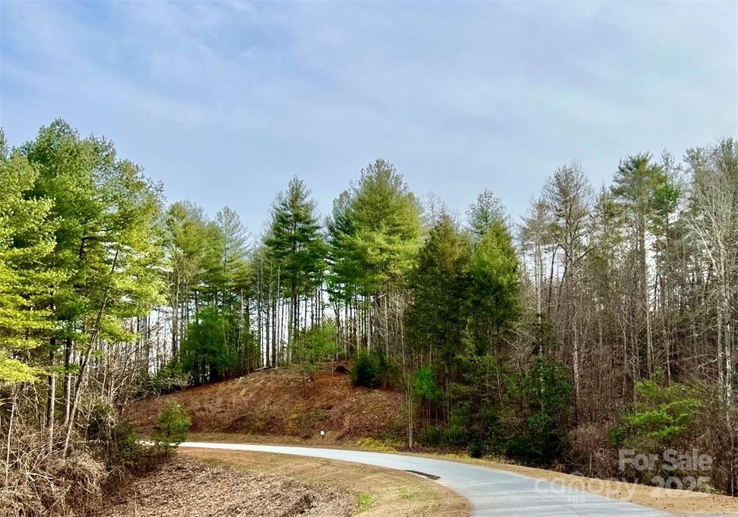 Lot 77, 1712 Round Mountain Parkway Lot 77